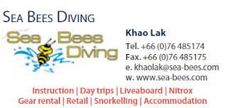 sea bees diving, Khao Lak