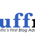 Nuffnang - What is unique visitor & views?