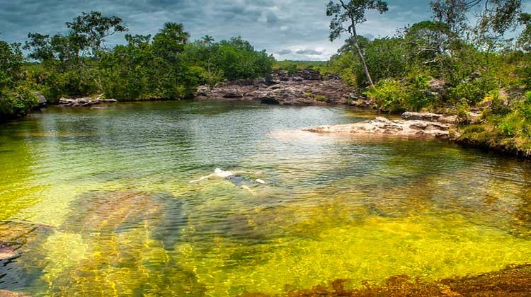 Cano Cristales Sungai Paling Indah Cano Cristales Sungai Paling Indah