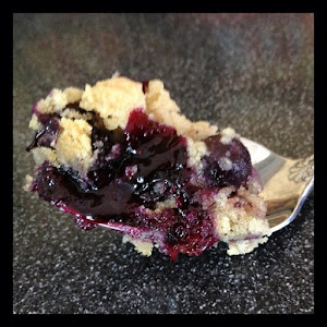 Blueberry Cobbler Goodness