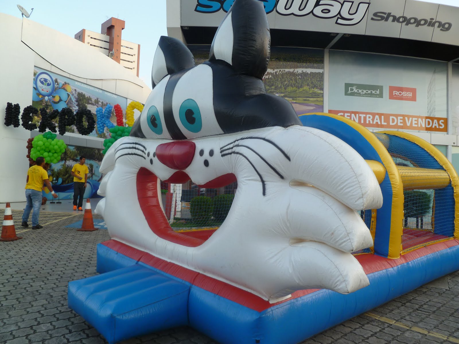 Piscina de bola do gato