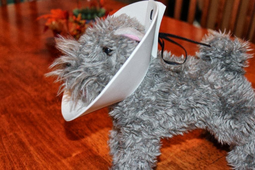 Karen Mom of Three's Craft Blog Brandy's Special Dog ECollar!