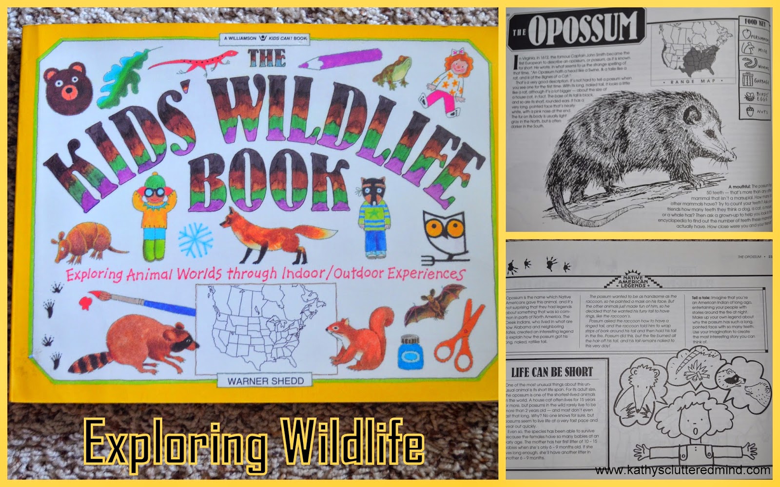 Kathys Cluttered Mind: Exploring North American Wildlife - Craft, Free  Journal Page and Giveaway