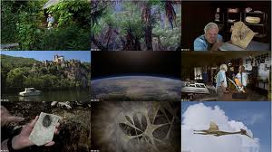 Viễn_Tưởng - Khủng Long Bay Vietsub - Flying Monsters With David Attenborough Vietsub (2011) Khung+long+b%2529