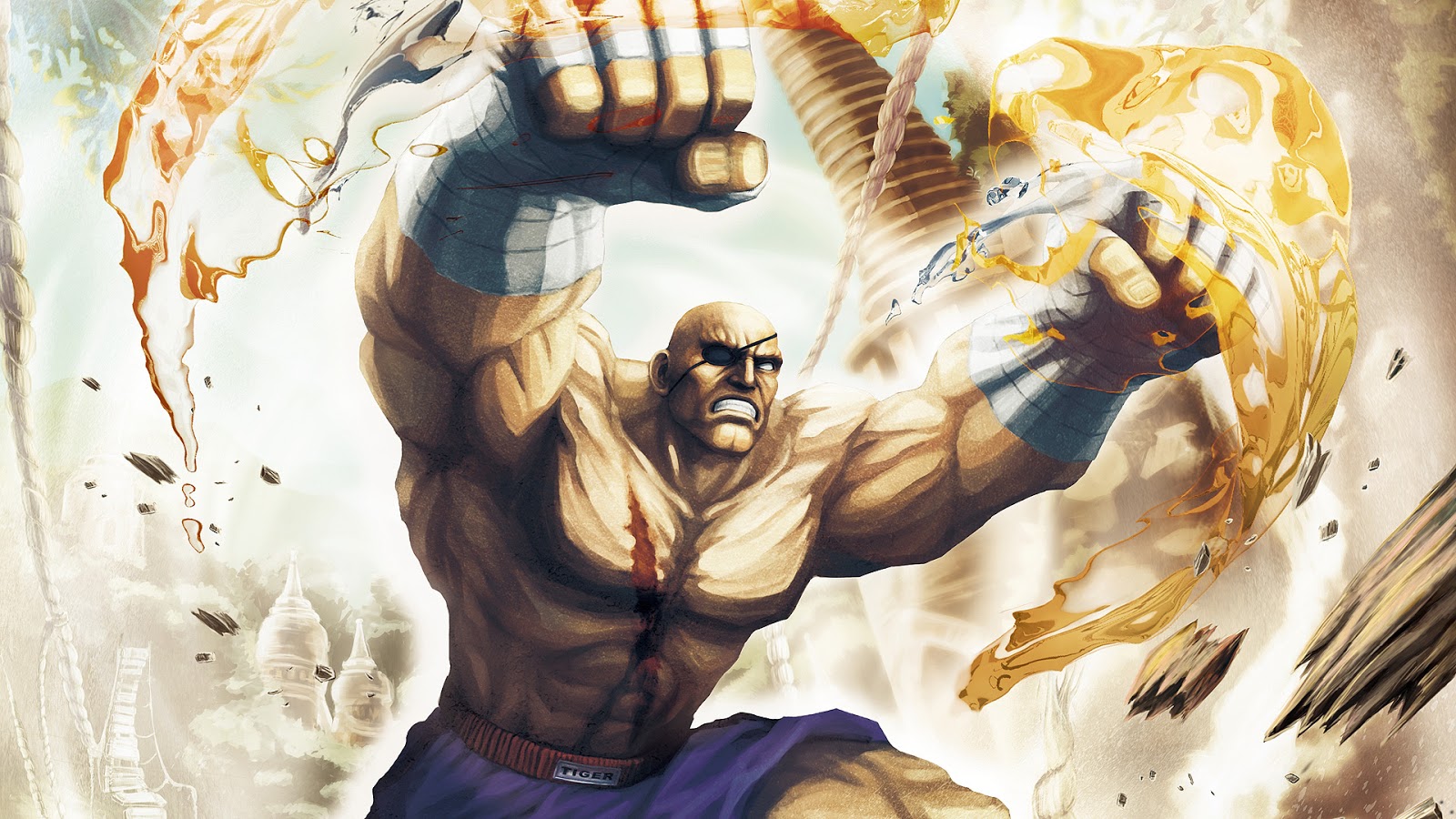 http://4.bp.blogspot.com/-HcpdJNjqAko/TfwJk2Hiq5I/AAAAAAAAHpg/3e-KvOlVTsU/s1600/Wallpaper%201080p%20Sagat%20a%20Cyclop%20from%20Street%20Fighter.jpg