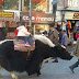 Little girl enjoying Yak ride.