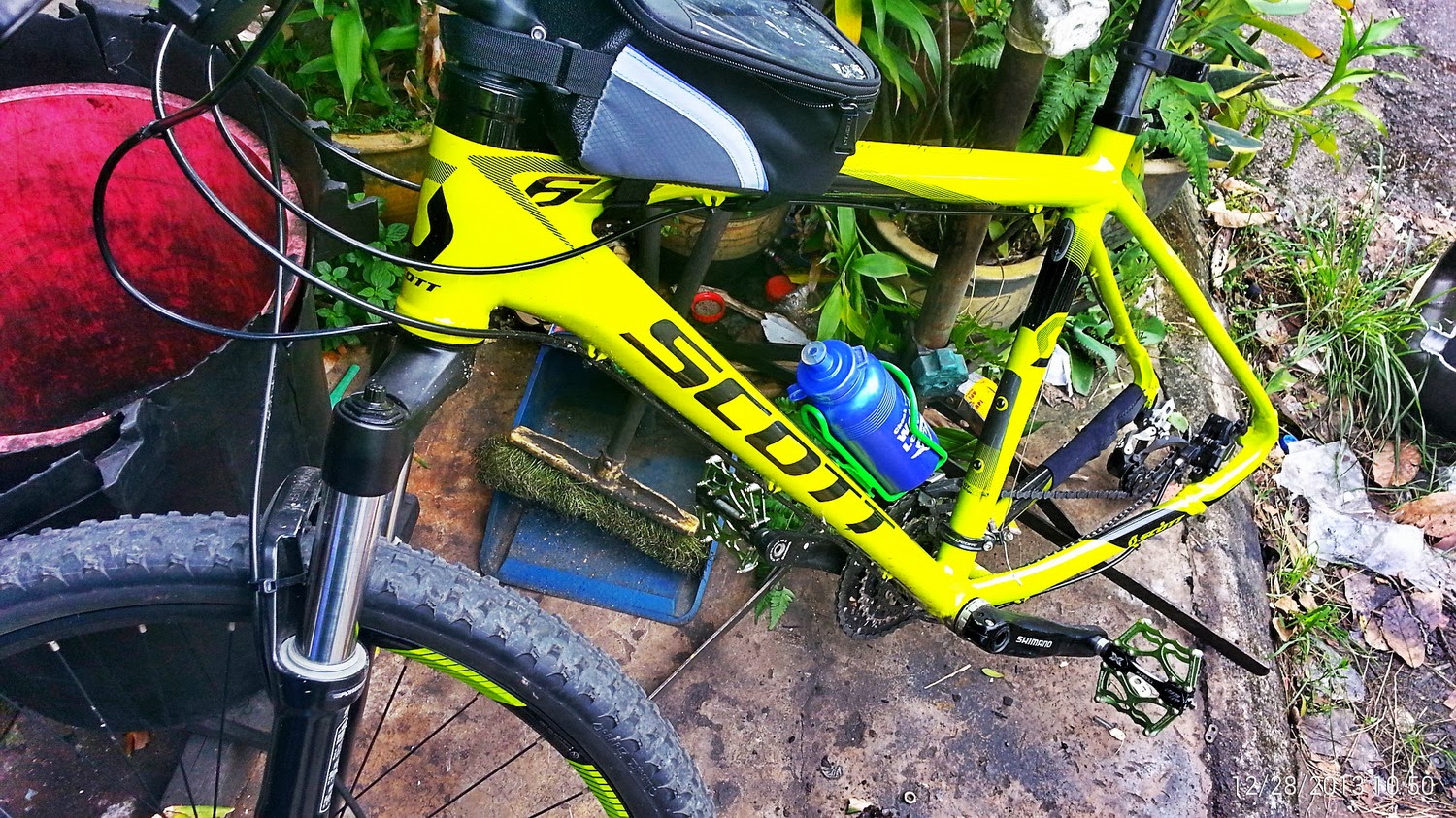 scott scale 60 2013