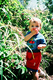 Berry-picking Isaac