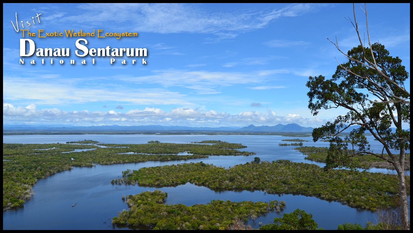 Danau Sentarum: Sejarah Berdirinya Taman Nasional Danau Sentarum