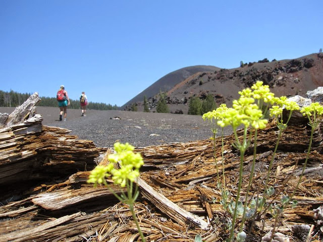 lassen volcanic national park