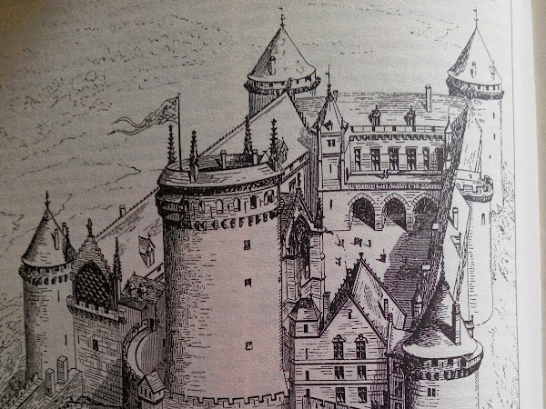 Uno sguardo all'interno: struttura del castello