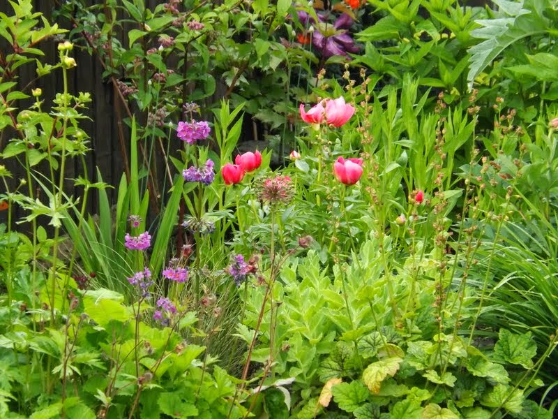 Powell River Garden Club Articles From The Bc Council Of Garden