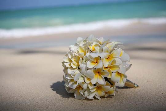 Get Strand ideen For iPhone Strand Ideen