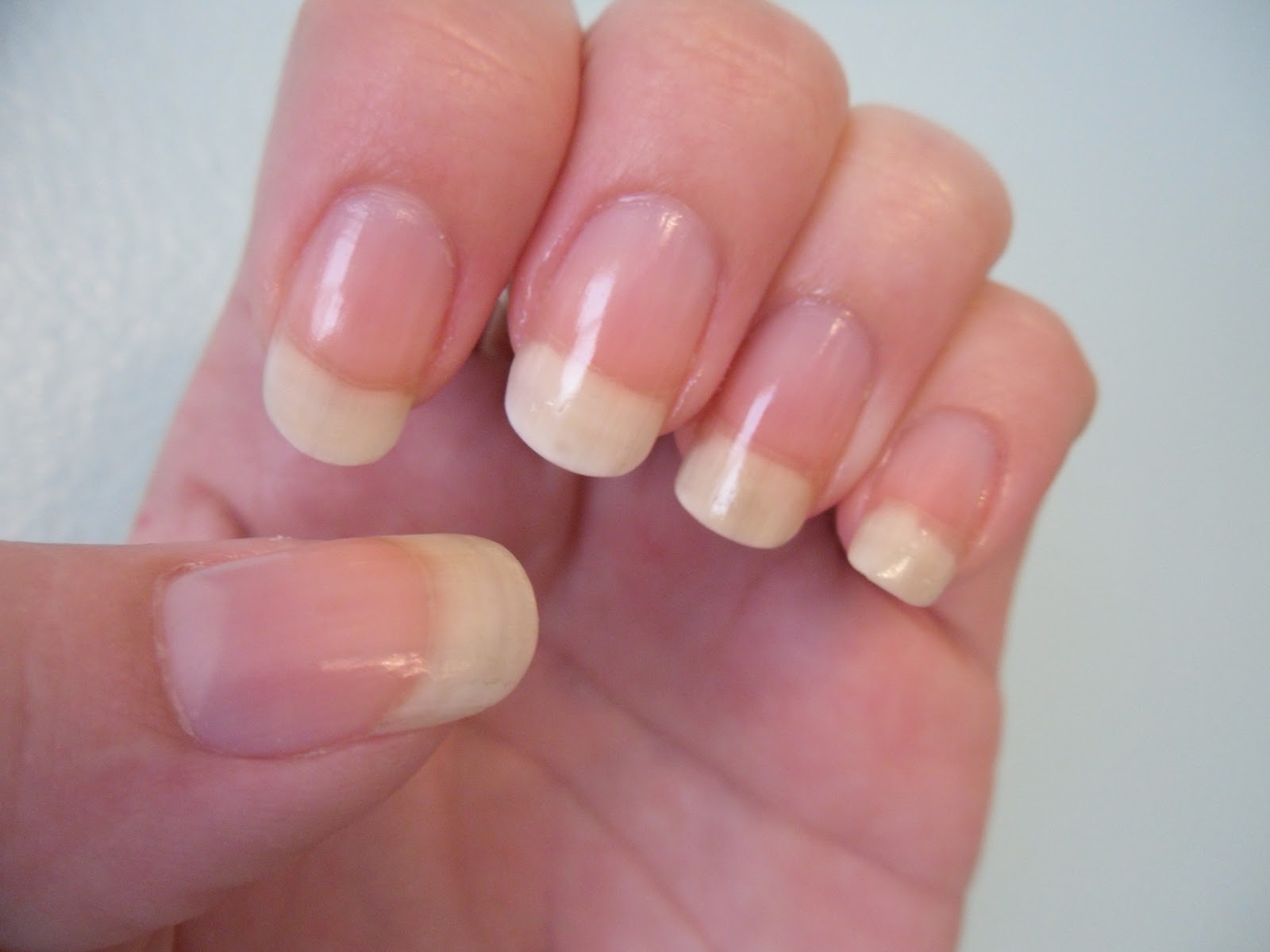 Elegant French Fade