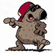 Doug the Wombat