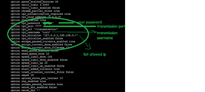 transmission torrent configuration 2