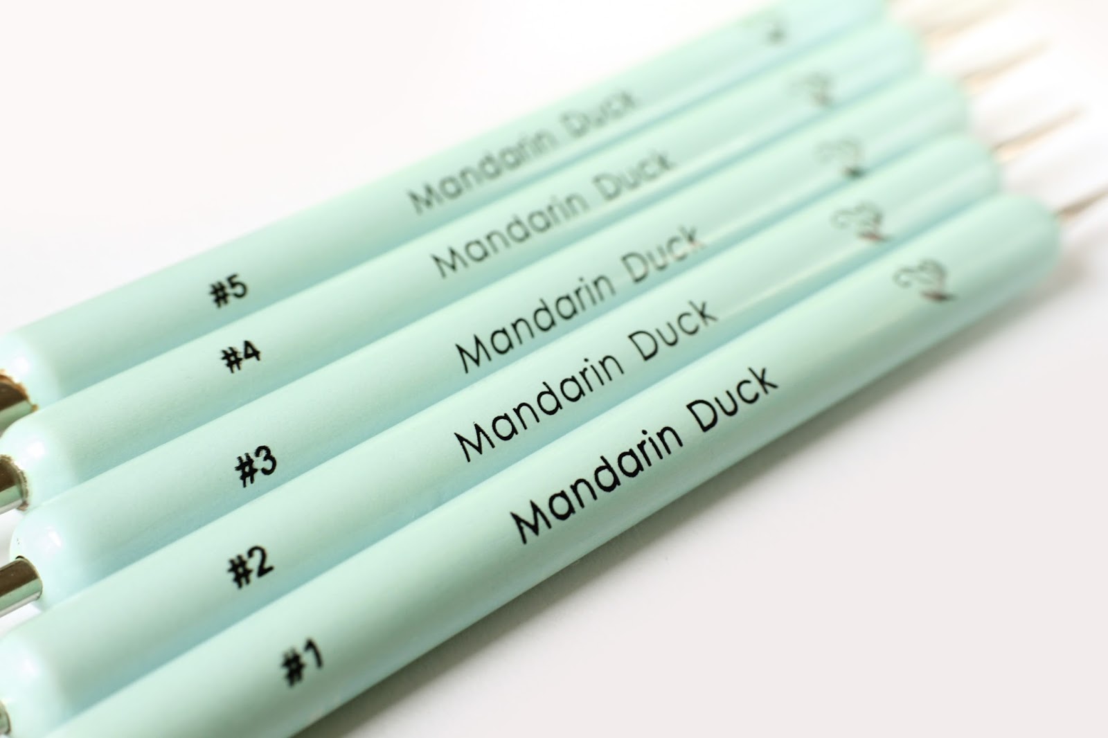 Mandarin Duck sculpting