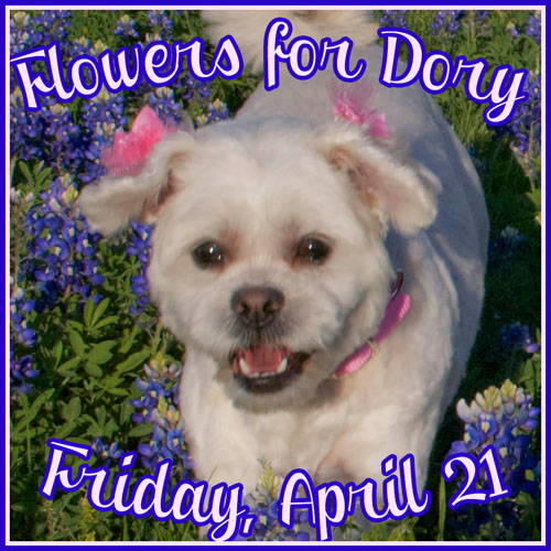 Flowers for Dory 4/21