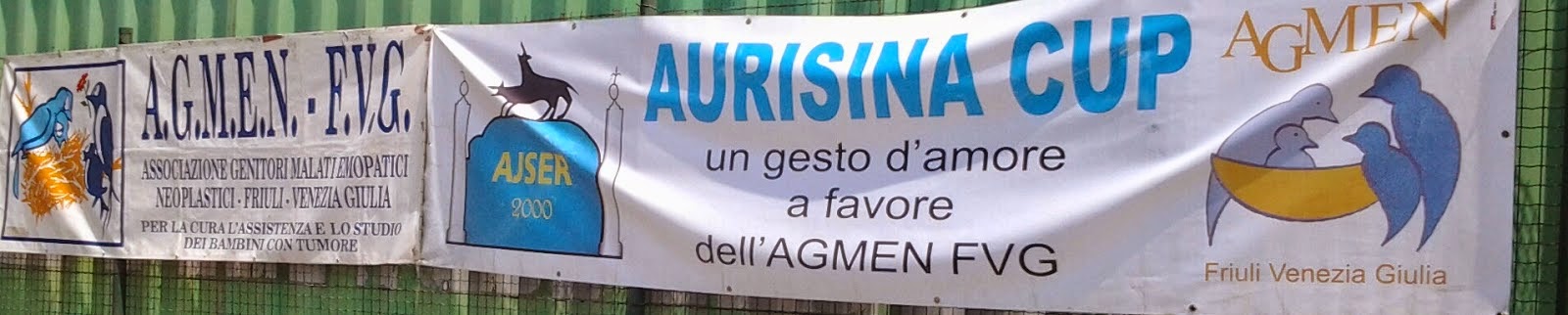  AURISINA CUP