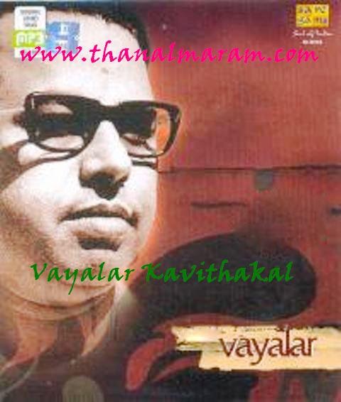 Sinksub Pro 2.03 Serial