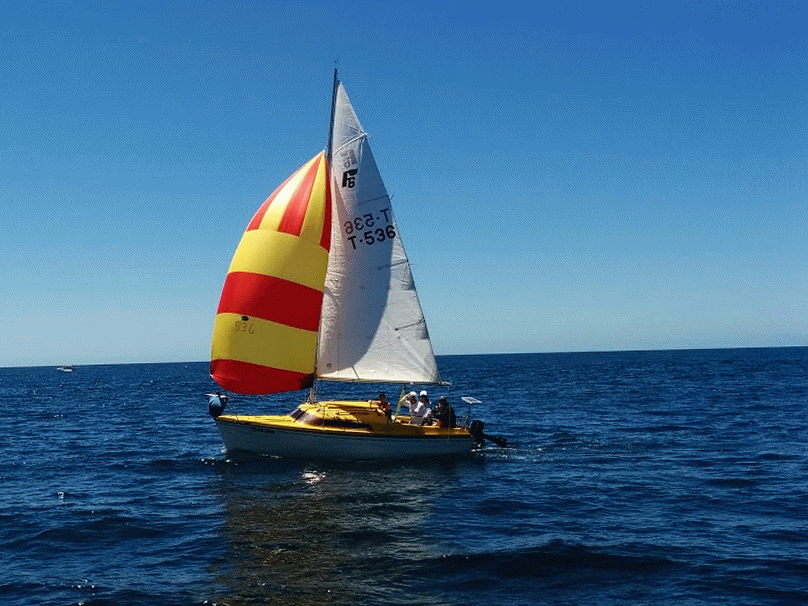 Sail cruising in NZ January 2014