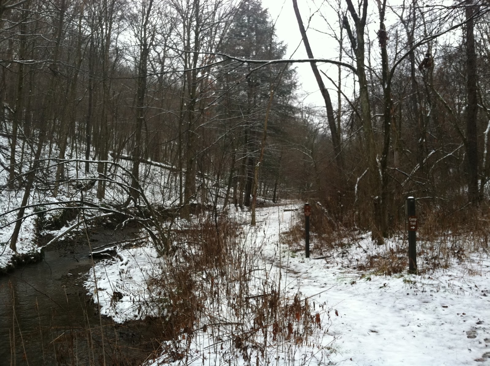 Snow and Jaggers: Camp Trail, Raccoon Creek