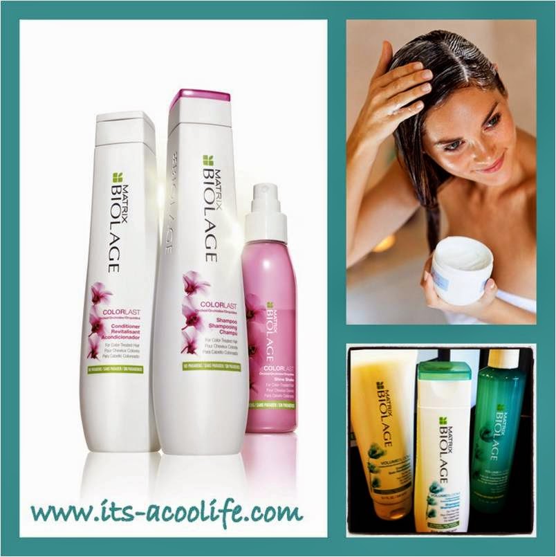 Matrix Biolage Color Care Shampoo Matrix Biolage Color Care Shampoo