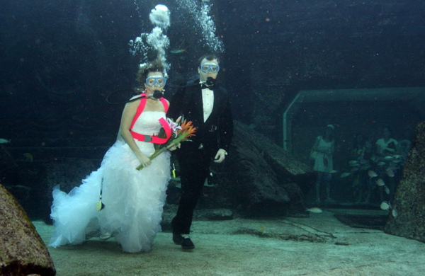 Wedding Concept Wedding Concept