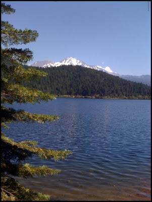 Mt Shasta Ca >> Camping Along I-5: Lake Siskiyou Camp Mt Shasta Ca >> Camping Along I-5: Lake Siskiyou Camp