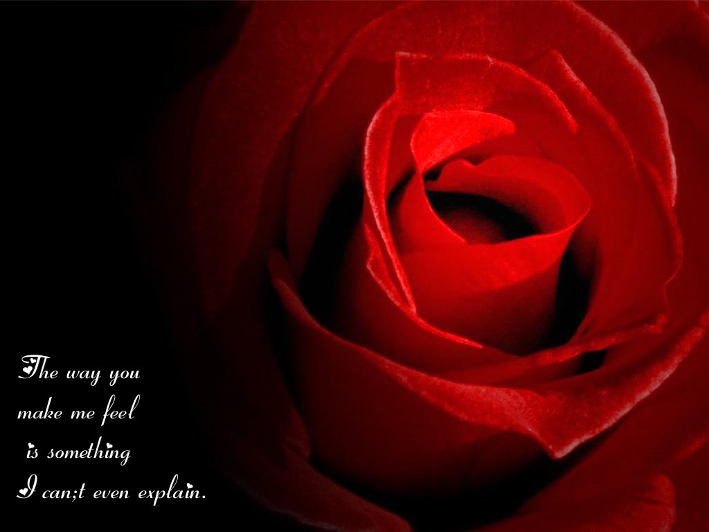 friendship awesome love quotes friendship awesome love quotes