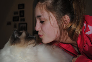 Emma's kat elsker mig!