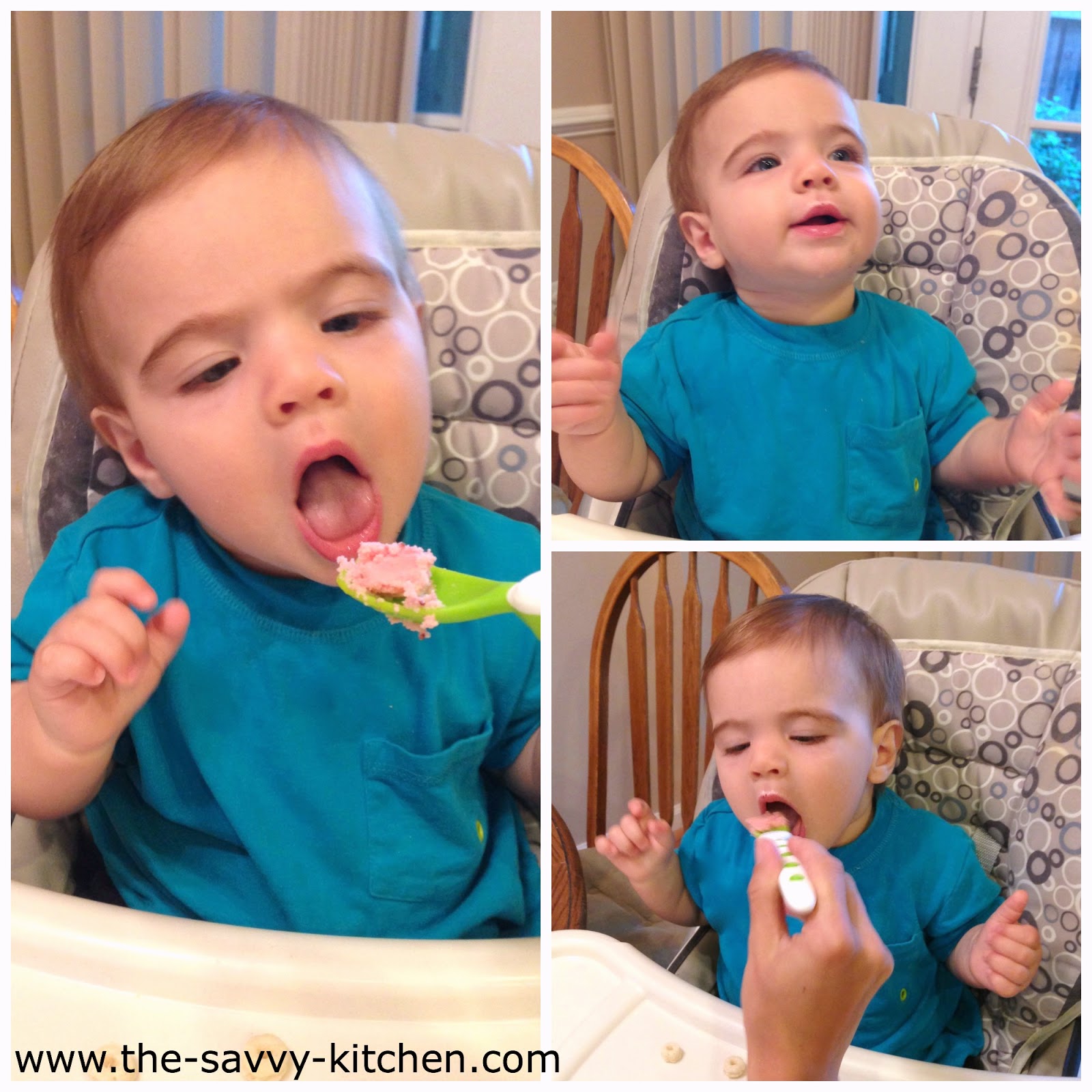 The Savvy Kitchen {Tiny Tot Tuesdays} Strawberry Frozen Yogurt for Babies and Toddlers