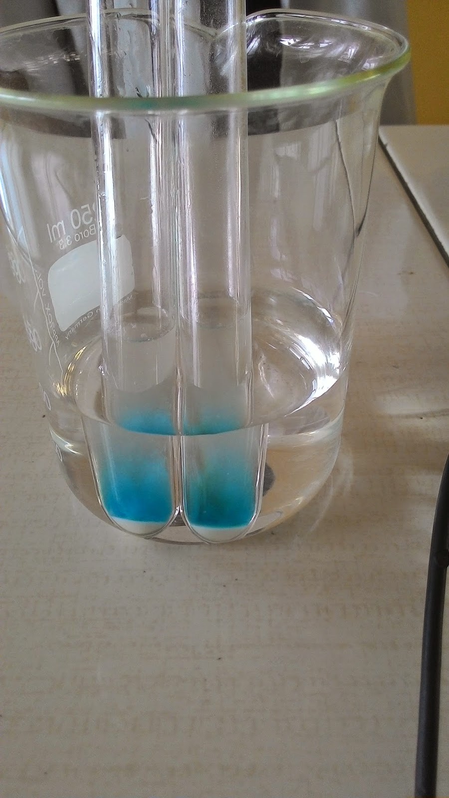 Uji Enzim Amilase melalui Air Ludah (Saliva) Catatan