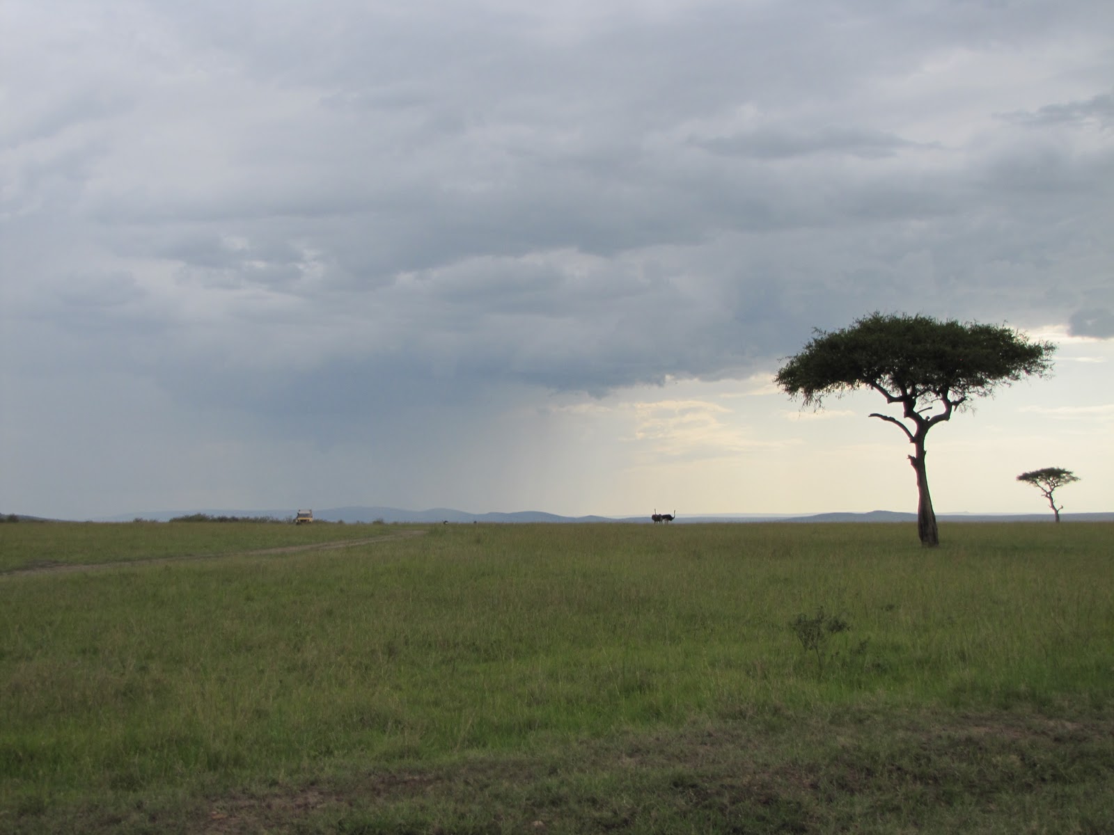 My Front Porch Kenya...in the shade of the acacia tree