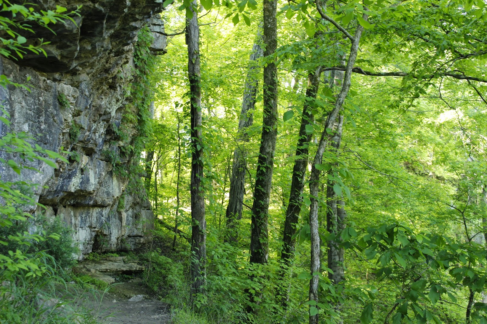 Beyond the Coastline Hiking Tennessee / Narrows of the Harpeth