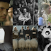 88. Oscar Ödülleri Yabancı Dilde En İyi Film Aday Adayları