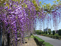 初日、人は少ない 初日、人は少ない