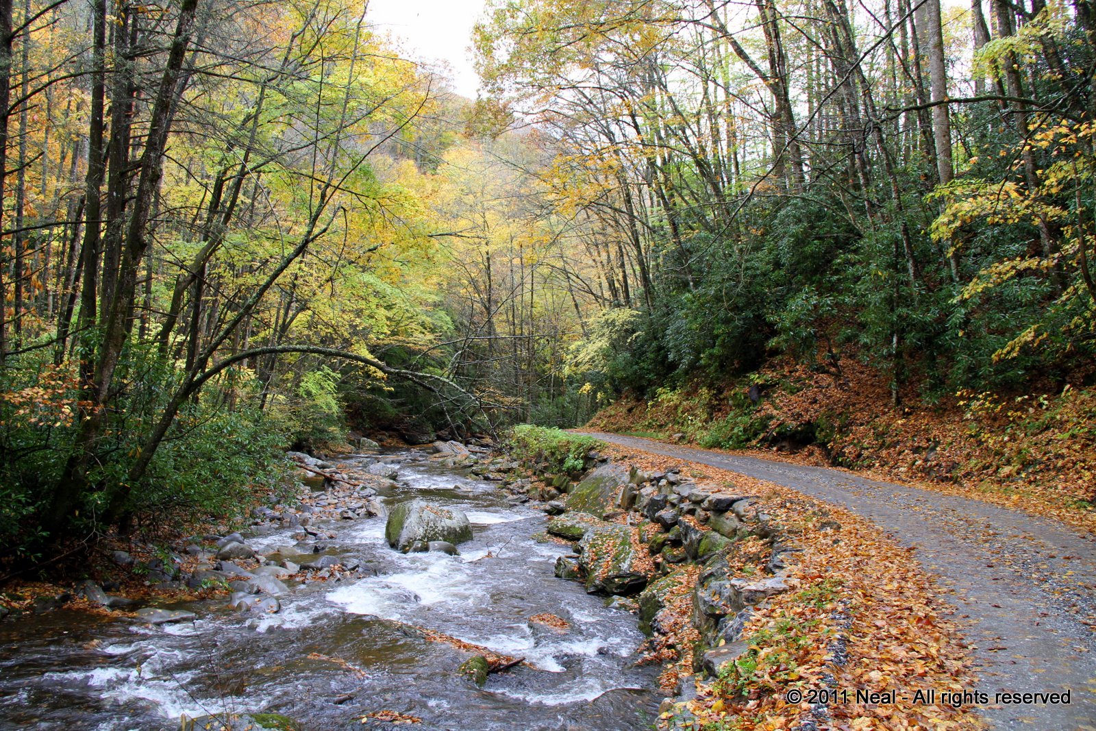 ...Photographic Memories Balsam Mountain Road