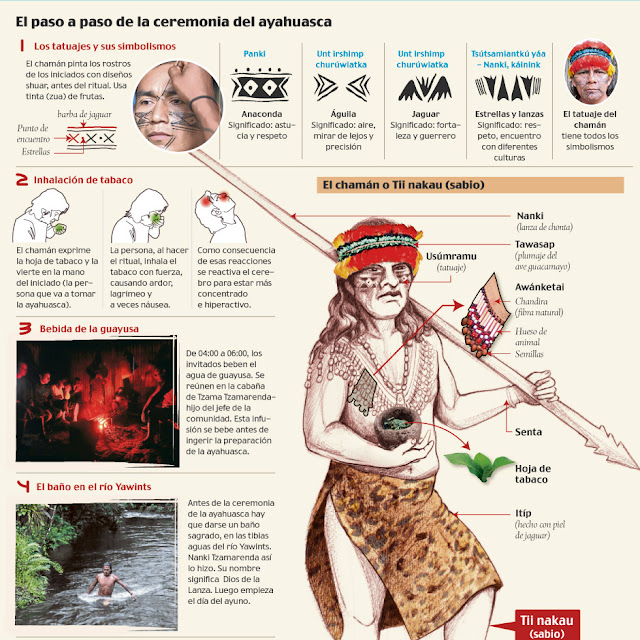 Diarios de V 2.0 El Ritual de la Ayahuasca en Infografía