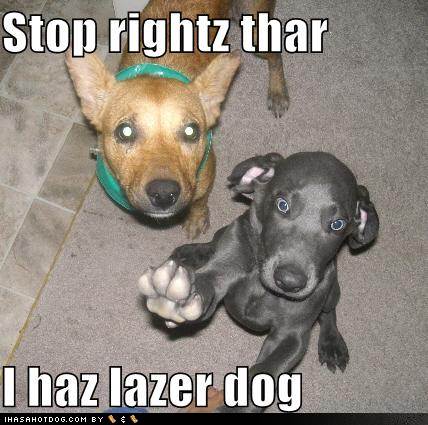 Funny Cat Pictures With Captions #20 Funny Cat Pictures With Captions #20