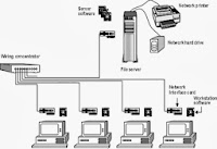 Local Area Network,LAN,Server,Workstation,Link,Network Interface Card,Network Software
