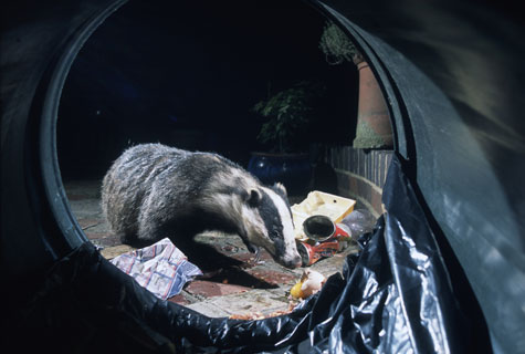 rencontres la chaux-de-fonds