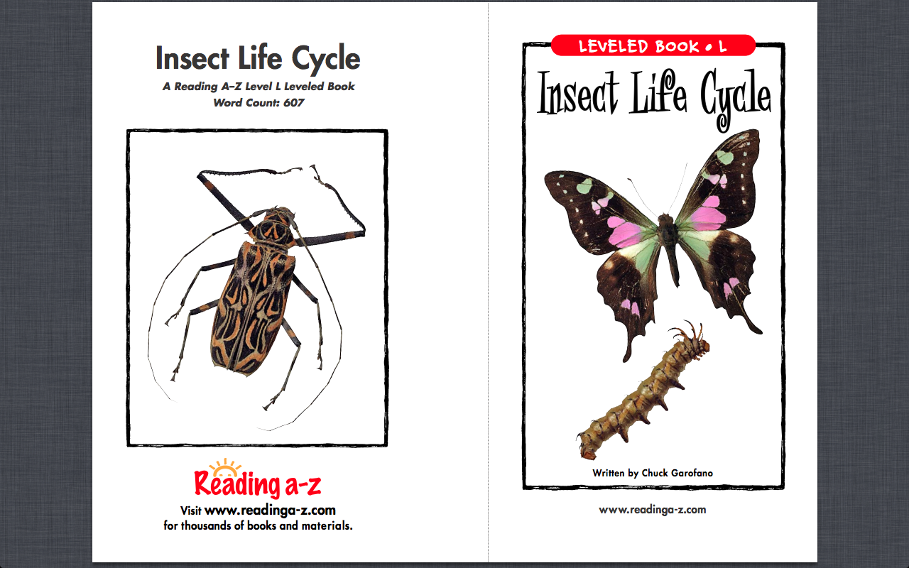 Five For Friday Surfin' Through Second