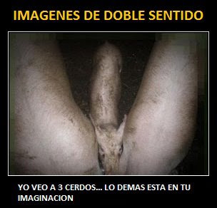 imagenes imagenes