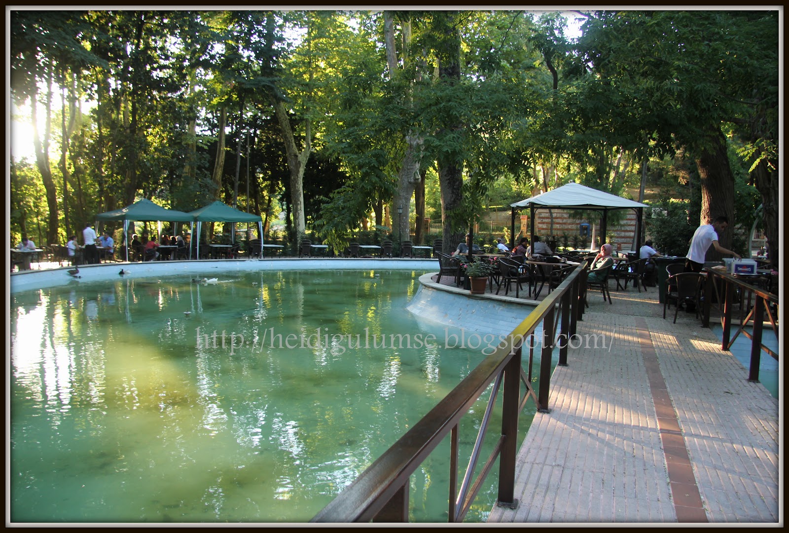 beykoz korusu