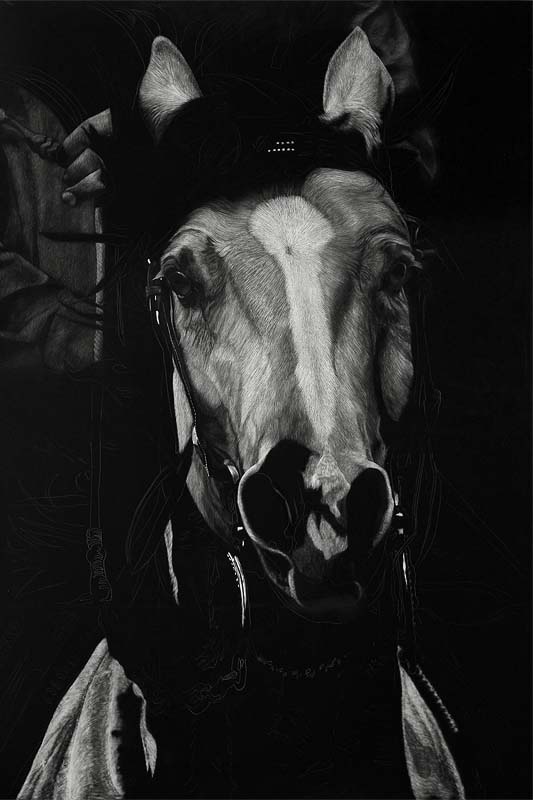 Scratchboard Rodeo VI | Large Solid-Faced Canvas Wall Art Print | Great Big Canvas
