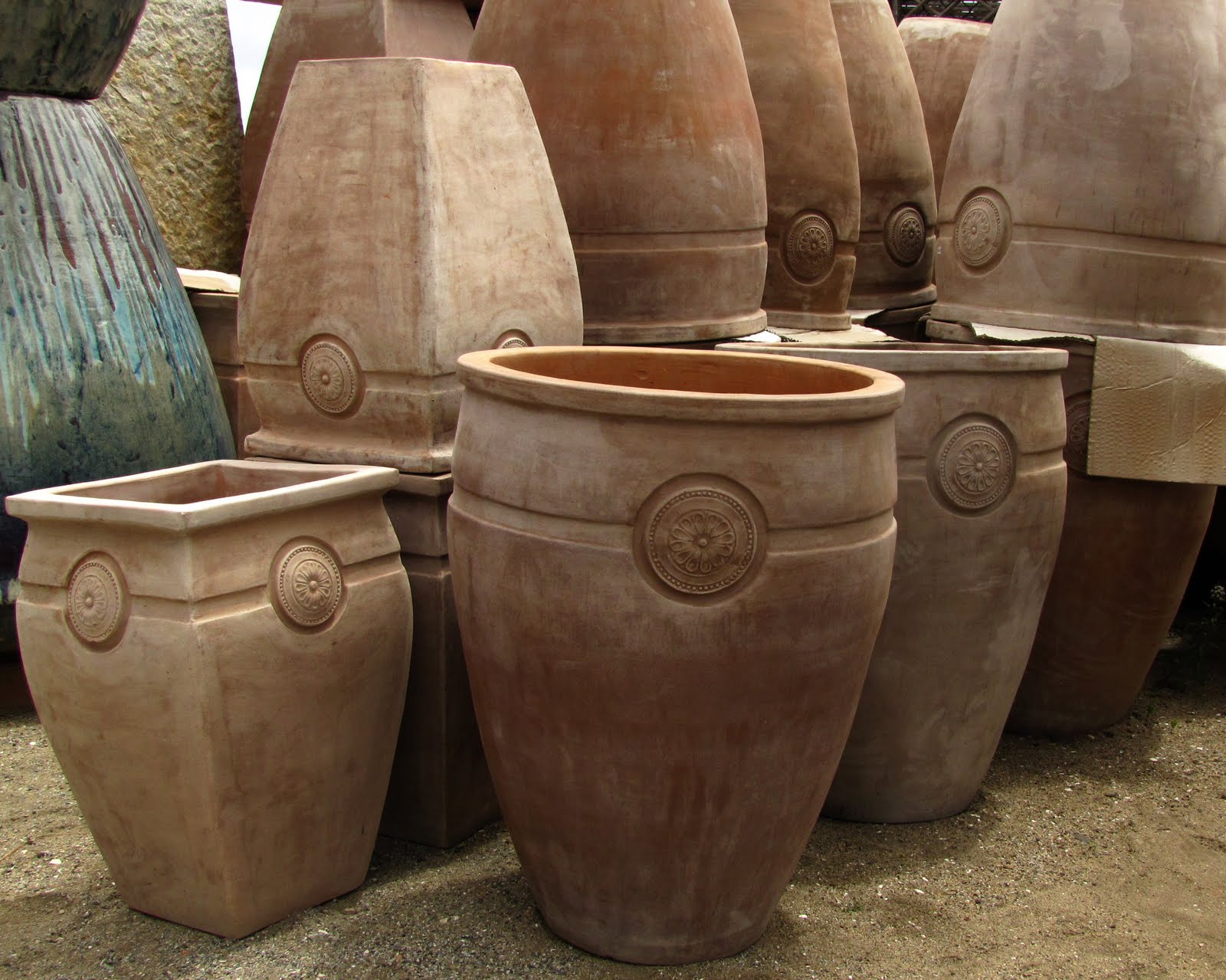 InterLeafings Discovering The Pot Stop at Little Baja