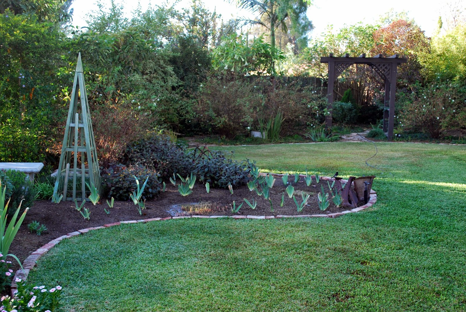 Spireas Brighten Any Garden
