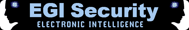 EGI Security - Electronic Intelligence