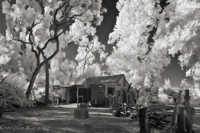 imagery in robert frost’s desert places Robert frost (1874- 1963) the snow imagery in “desert places” and “stopping by woods on a snowy evening” causes different effects on the theme and mood . imagery in robert frost’s desert places Robert frost (1874- 1963) the snow imagery in “desert places” and “stopping by woods on a snowy evening” causes different effects on the theme and mood .